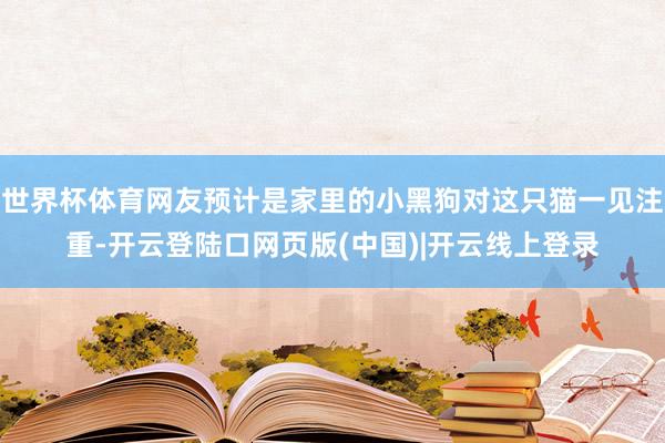 世界杯体育网友预计是家里的小黑狗对这只猫一见注重-开云登陆口网页版(中国)|开云线上登录
