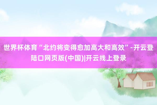 世界杯体育“北约将变得愈加高大和高效”-开云登陆口网页版(中国)|开云线上登录